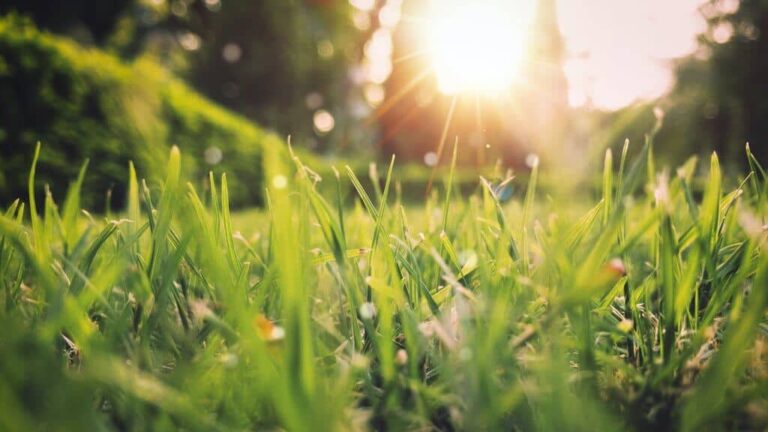 PRESSEMEDDELELSE: Nyd solen med omtanke – og afstand